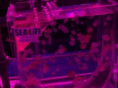 -沈阳海洋探索中心