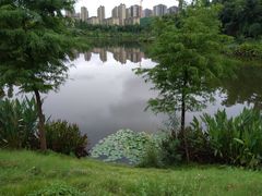 -东岳体育公园