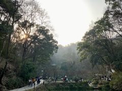 -岳麓山风景名胜区