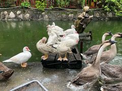 -香山小厨(南联路店)