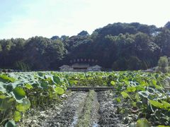 -古田会议纪念馆