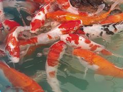 -昆明动物园