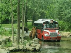 -北京野生动物园