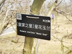 -上海辰山植物园