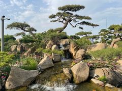 -罗红摄影艺术馆