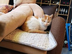 -有点d+麦栈原创生活馆(d+品质生活馆)