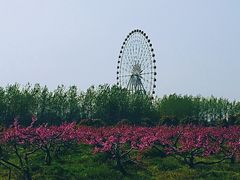 -扬州天乐湖嬉乐谷