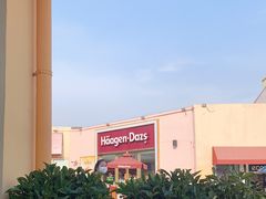 -哈根达斯(赛特奥莱店)