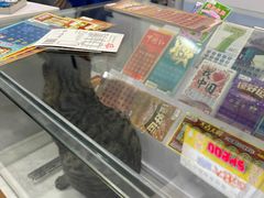 -中国福利彩票·中国体育彩票(包头路店)