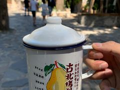 -古北烤梨