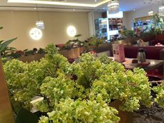 -杯子红牛排(南庄吉利广场店)