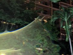 -海南椰子鸡餐厅(三亚湾红树林店)