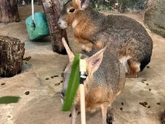 -正佳雨林生态植物园