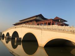 -大湾区中央湿地公园