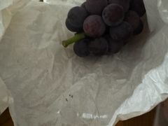 -马陆小张葡萄园农家乐