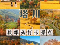 -塔川景区