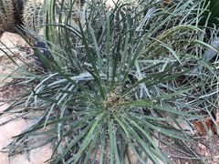 -北京植物园-展览温室