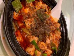 -陈麻婆豆腐总店