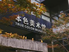 -苏州本色美术馆