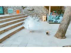 -大连老虎滩海洋公园