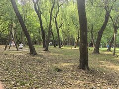 -同里国家湿地公园