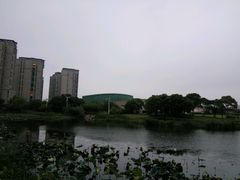 -新江湾城公园