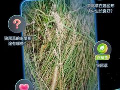 -CGV影城(滨江天街IMAX店)