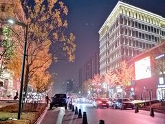 -中粮·祥云小镇