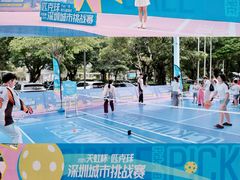 -坂田天虹