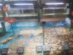 -徐记海鲜(阿波罗店)