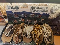 -芸山季·云南山珍菌火锅(人民广场来福士店)