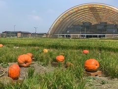 -中国天府农业博览园