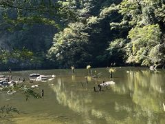 -磐安舞龙峡景区
