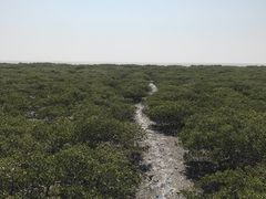 -北海金海湾红树林生态旅游区