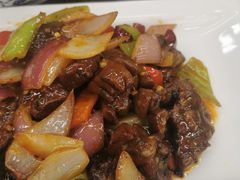 -清真兰州老马拉面(定福家园店)