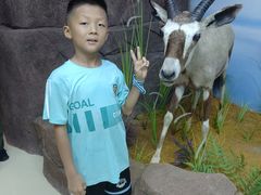 -西霞口神雕山野生动物世界