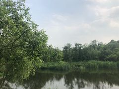 -西湖风景区-江洋畈生态公园