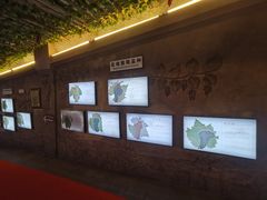 -青岛葡萄酒博物馆