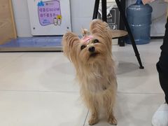 -芭比堂动物医院(广州爱宠下渡路分院)