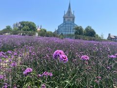 -花博汇(知音花月夜)