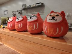 -柴务处·柴犬主题狗咖