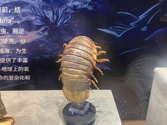 -淮安市博物馆