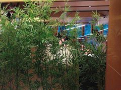 -初蓉丨遇见新川菜(亲贤街荣耀店)