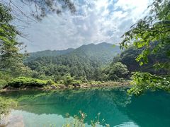 -大奇山国家森林公园