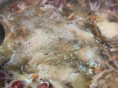 -东记炭炉·海鲜鸡煲(龙华店)