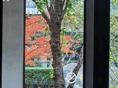 -星巴克(上海交通大学店)