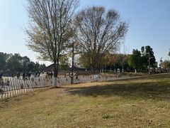 -盘龙城国家考古遗址公园