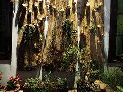-馬蘭花開(车站大道店)