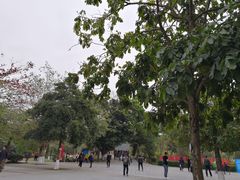 -中山市树木园