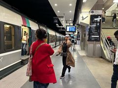 -戴高乐机场火车站